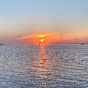 Meet your Posher, Ayla